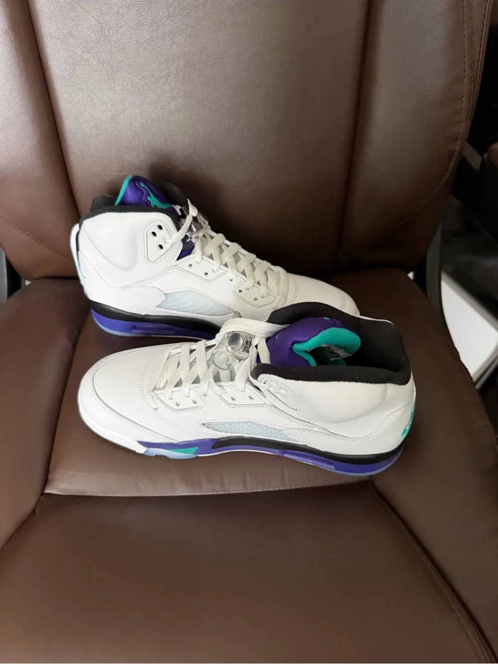 Jordan Shoe(Grape 5’s)