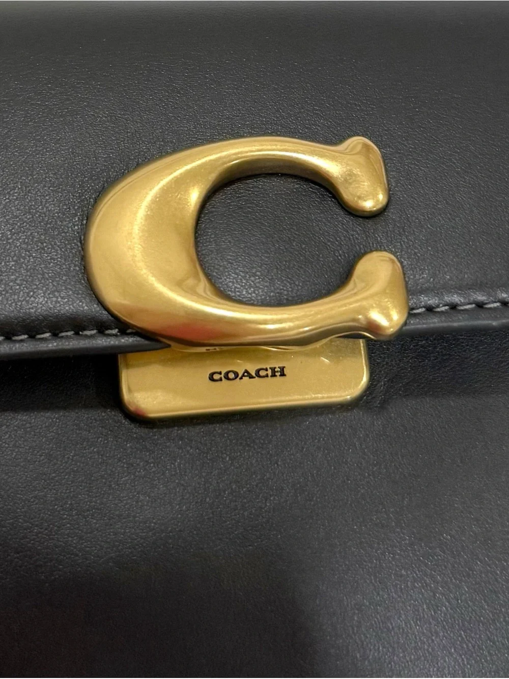 Coach new cam16 fabric