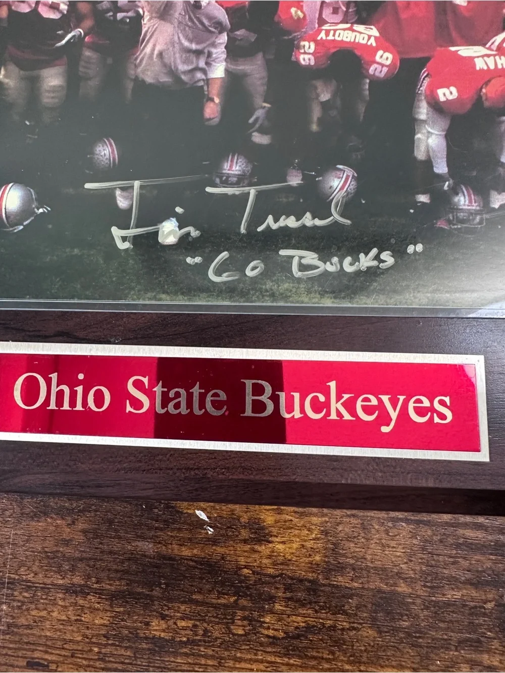 N/A fan buckeyes