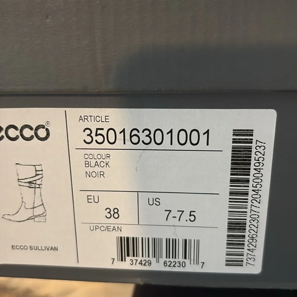 Ecco experience elegance