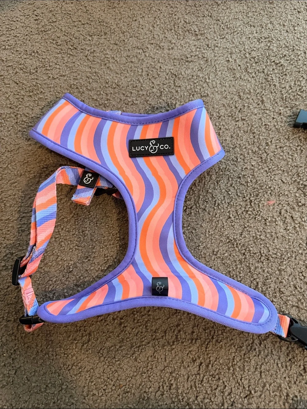 Lucy & Co. soft neoprene