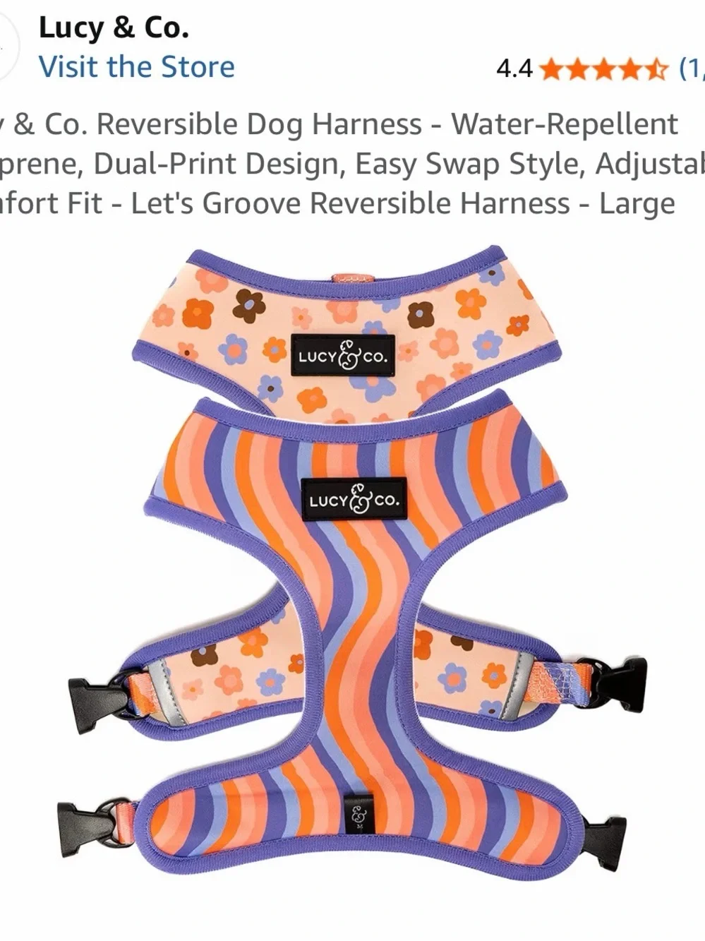 Lucy & Co. soft neoprene