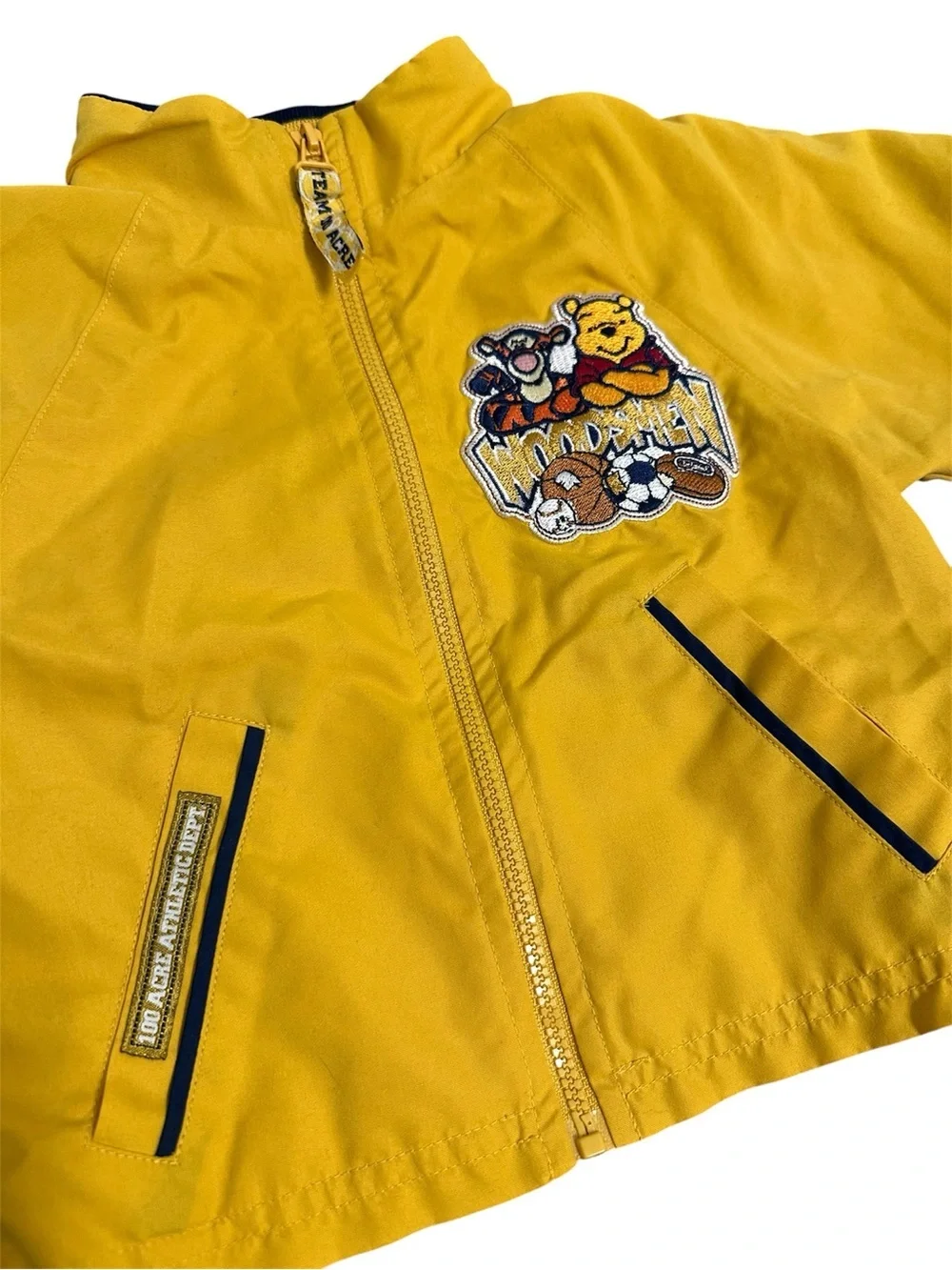 Disney zip up