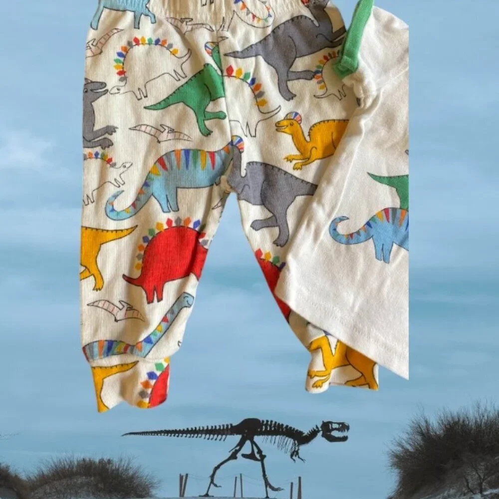 2pc The Children's Place Dinosaur Cotton Pant Set