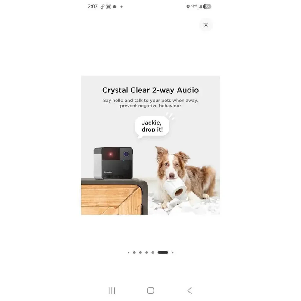 Petcube Play 2 Wi-Fi Pet Camera with Laser Toy for Cats & Dogs: Indoor Camera.