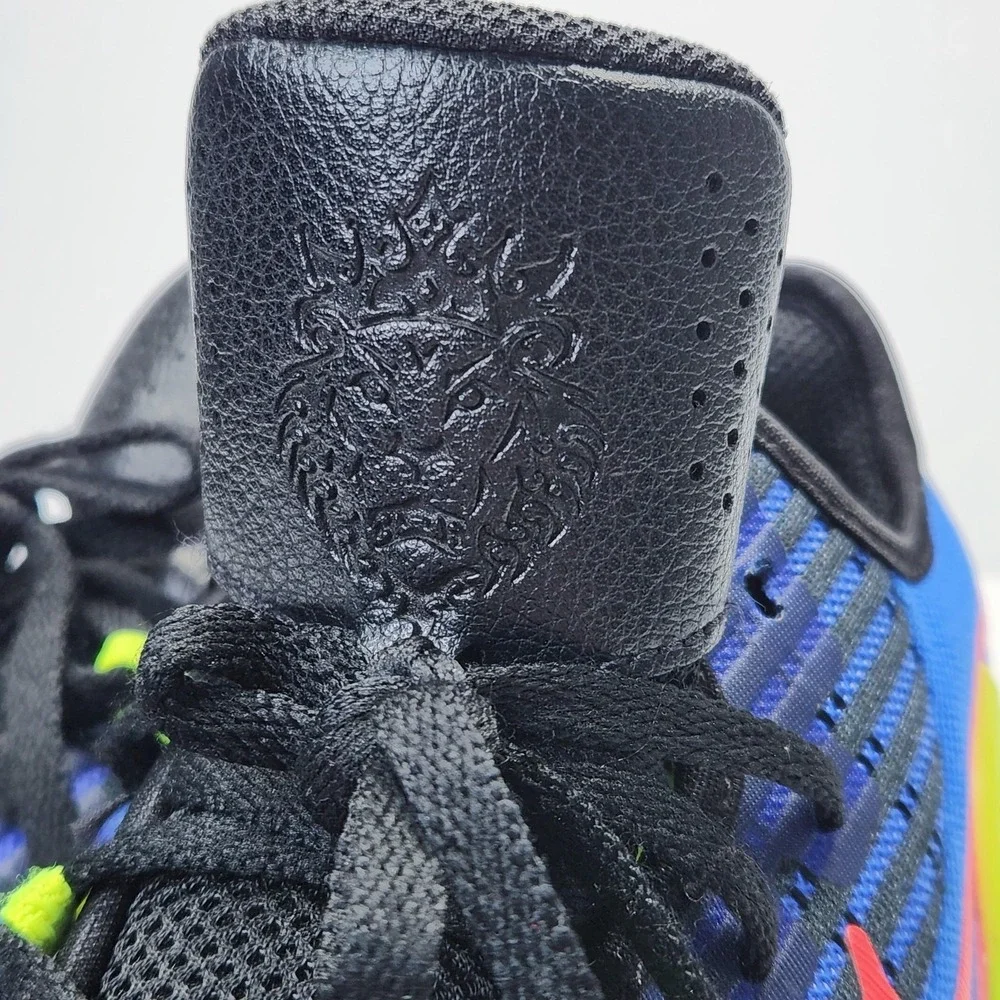 Nike lebron shoes