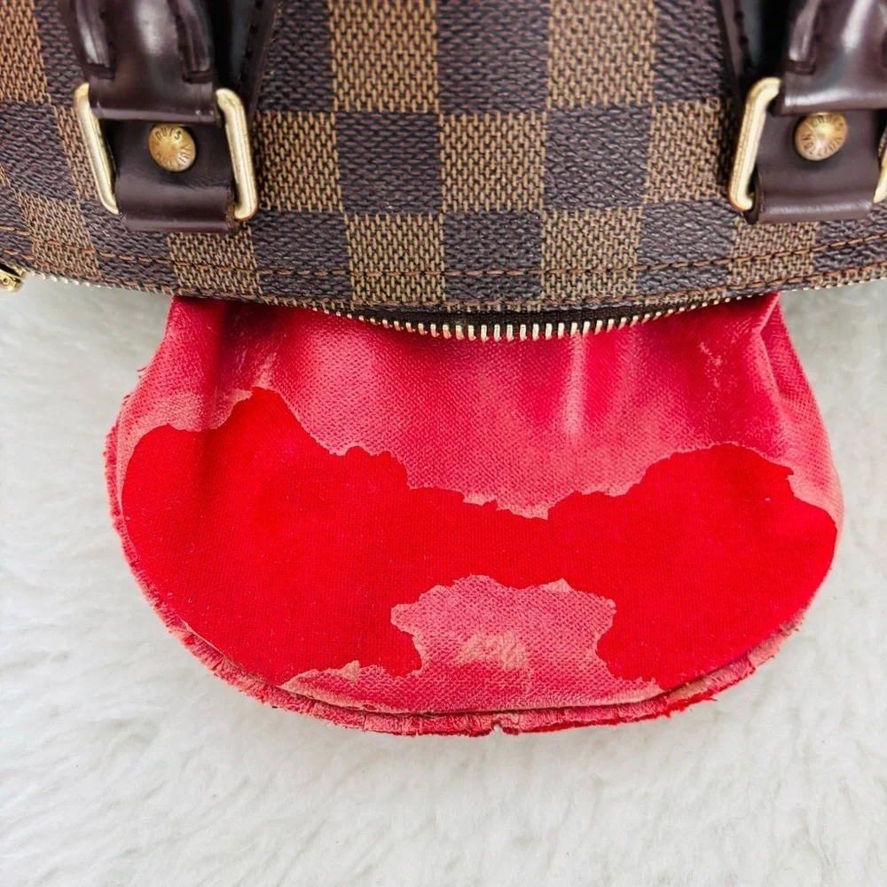 Louis Vuitton speedy plastic