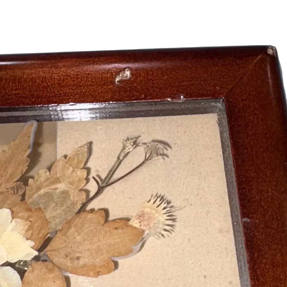 Vintage Bombay Co Musical Jewelry‎ Box Wood Pressed Flowers Plays Love Story