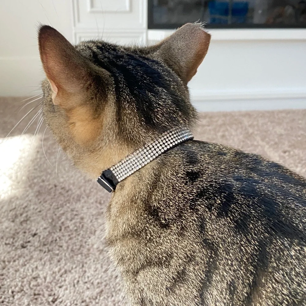Glam Cat Collar Silver Bling Rhinestone Crystals Pull On‎ Style Adjustable