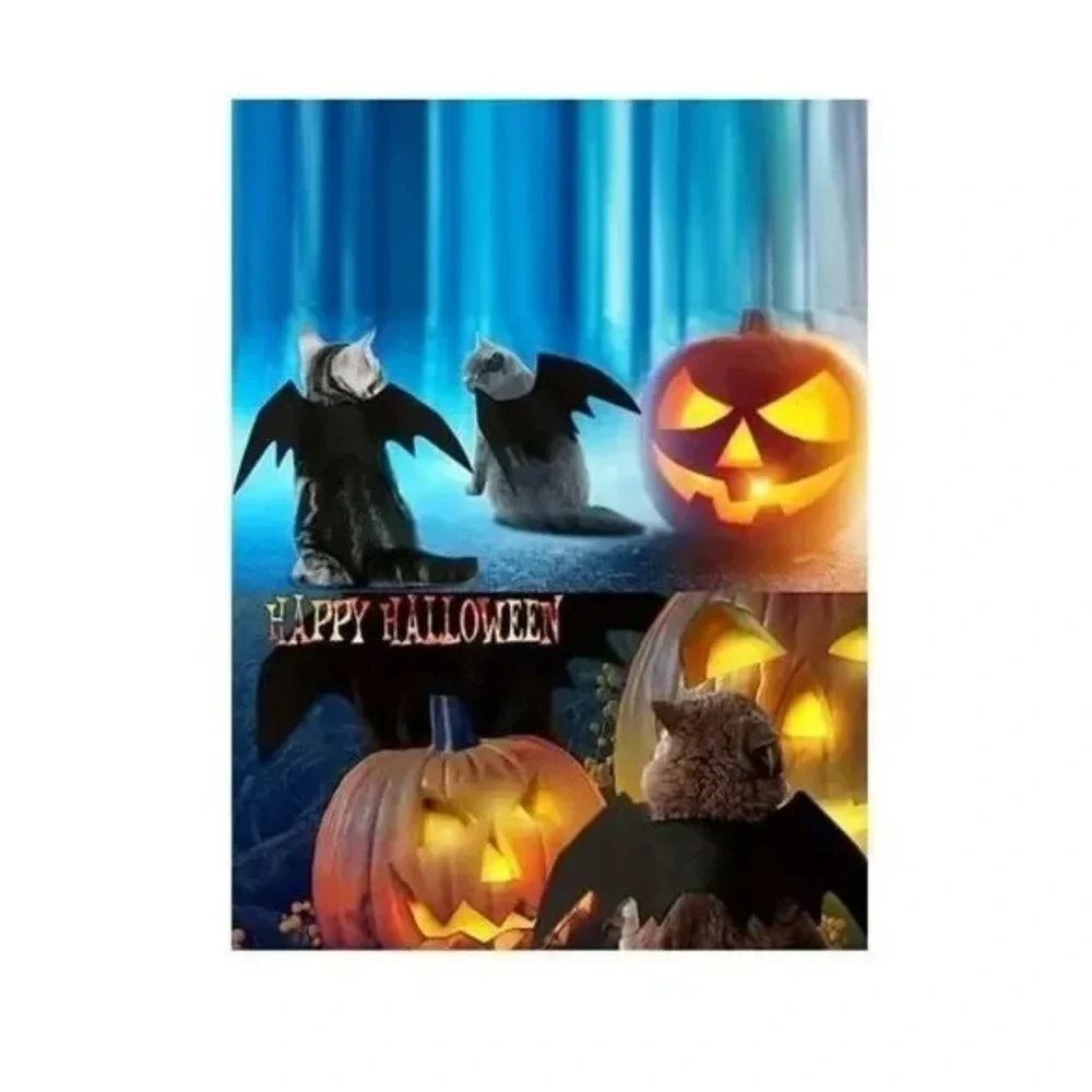 Halloween Cat Dress Up – Bat Wings Costume for Pets, Perfect for Party Photos‎