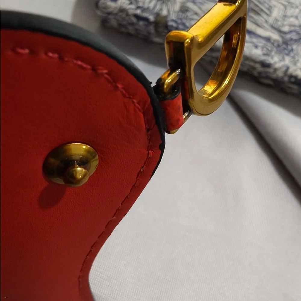 Dior saddle style