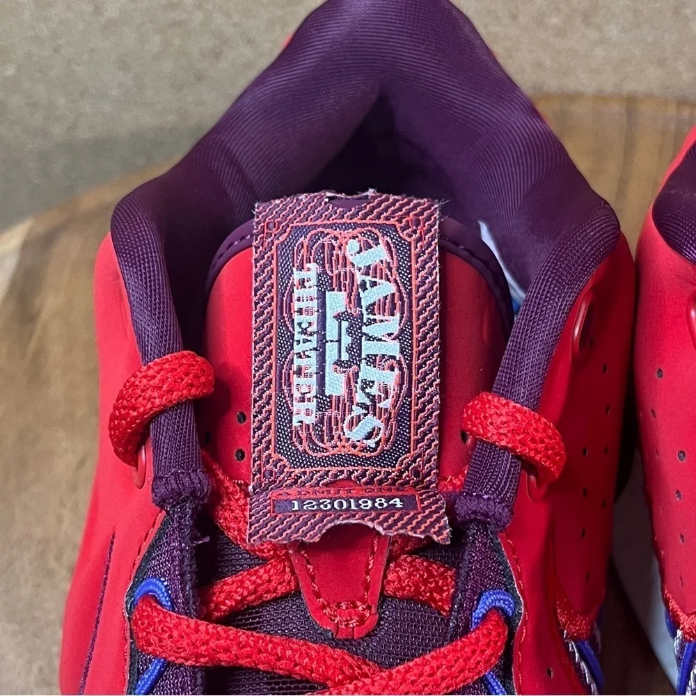 Nike Lebron james 21 ‘Theatre’ Brand new