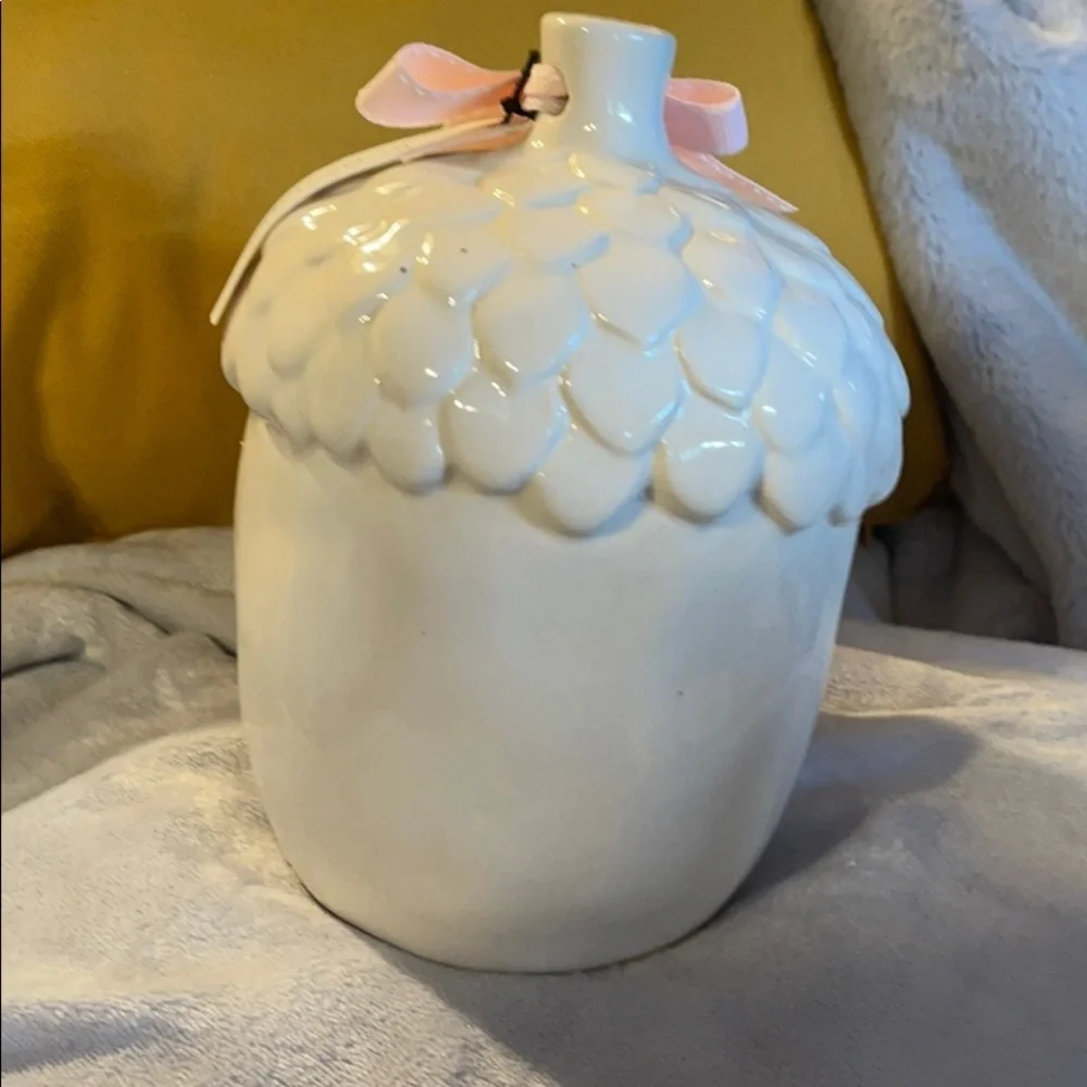 Rae Dunn “Chirp” Acorn Style Bird House