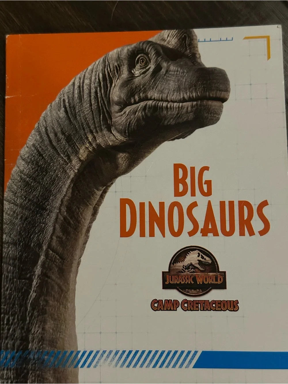 Bunch of Dinosaurs