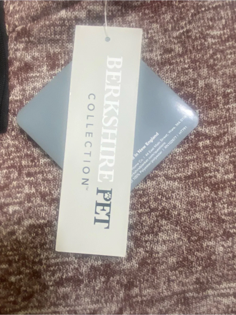 Berkshire color reddish