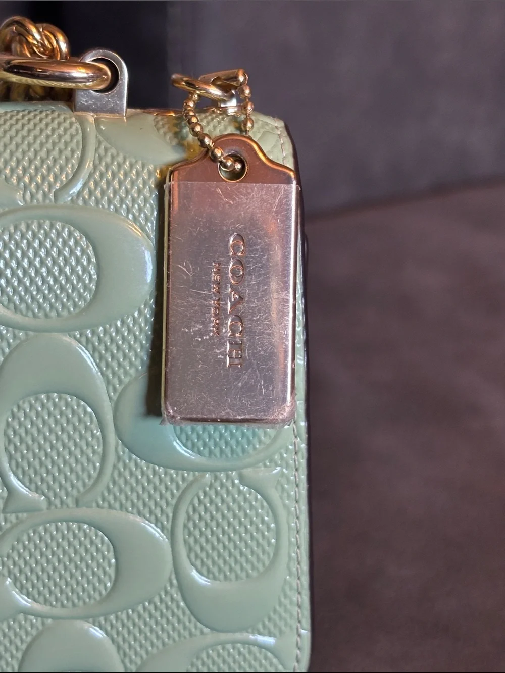 Coach pearlized signature