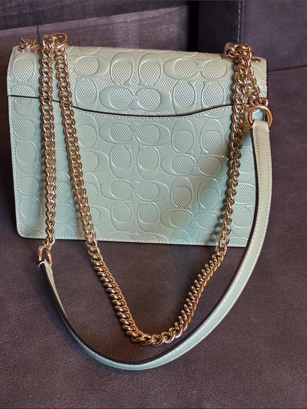Coach pearlized signature