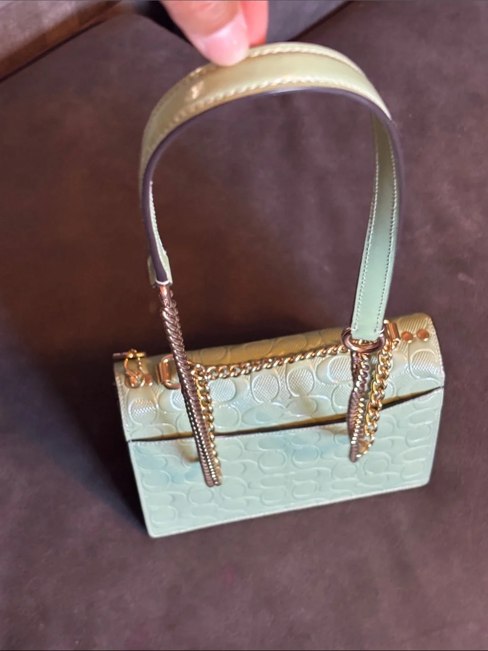 Coach pearlized signature