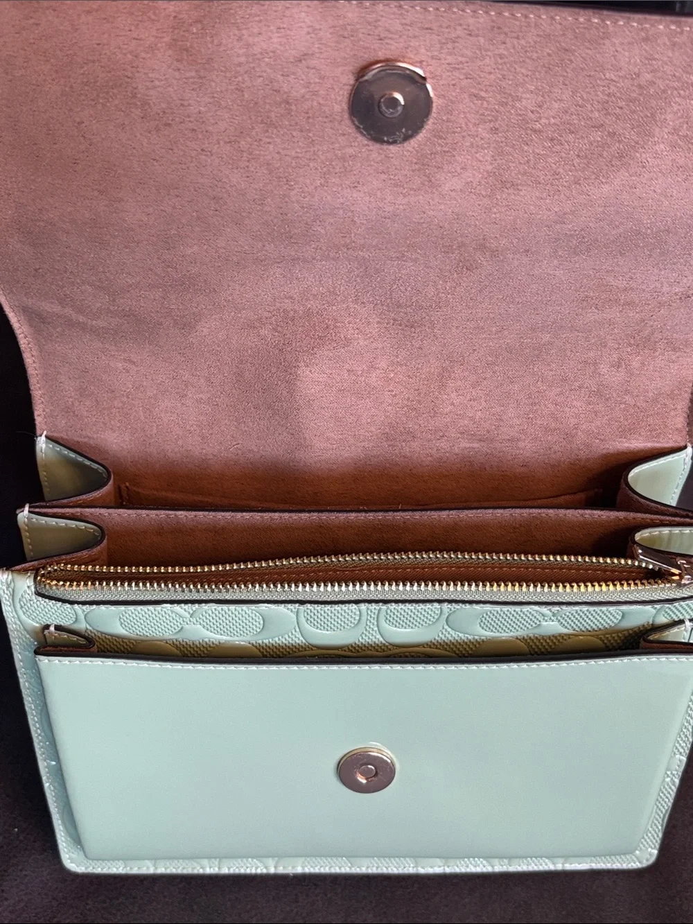 Coach pearlized signature