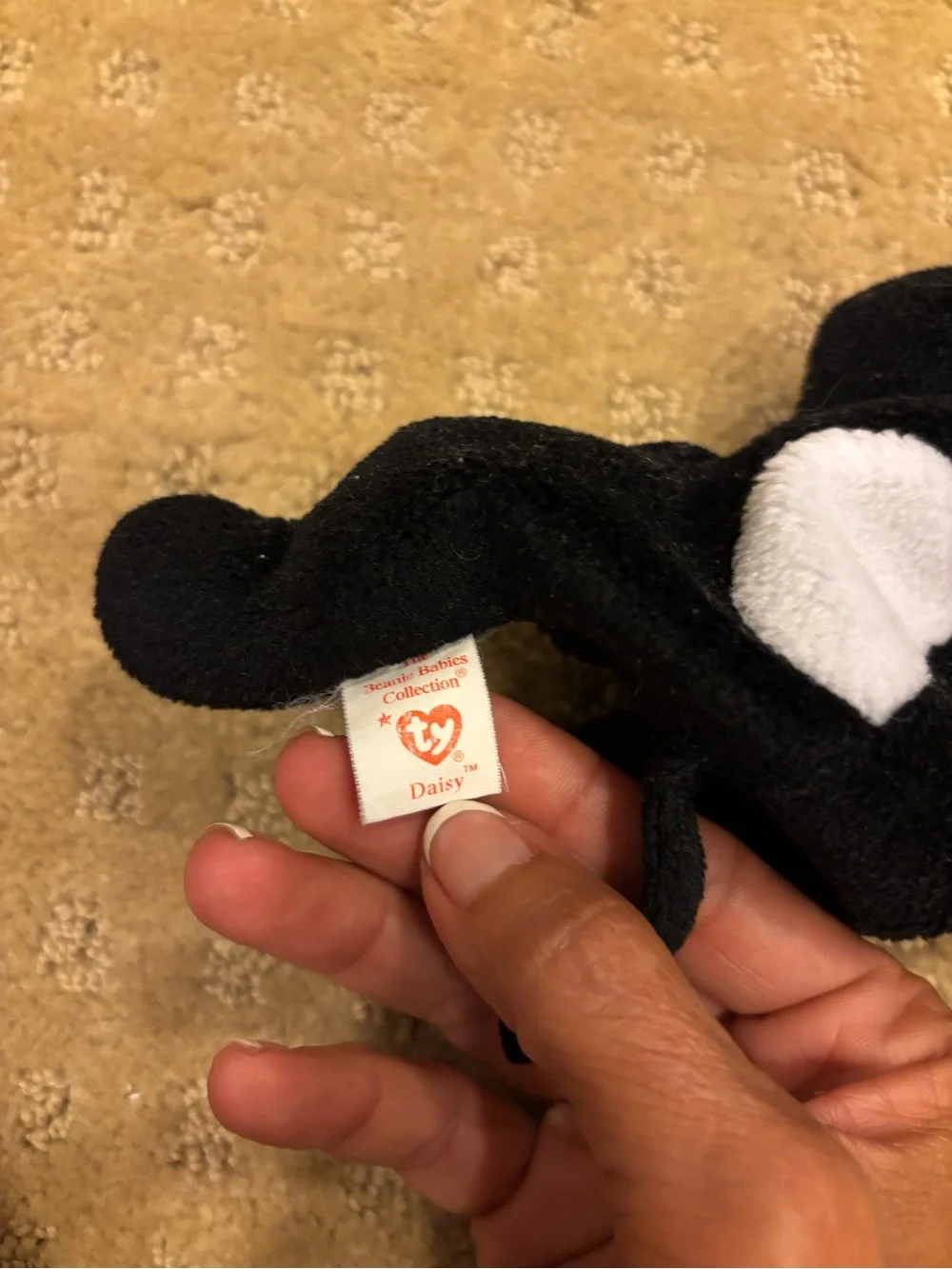 Ty soft plush