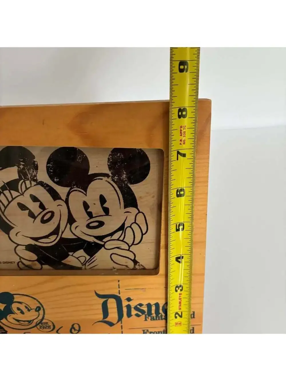 Disney bring home
