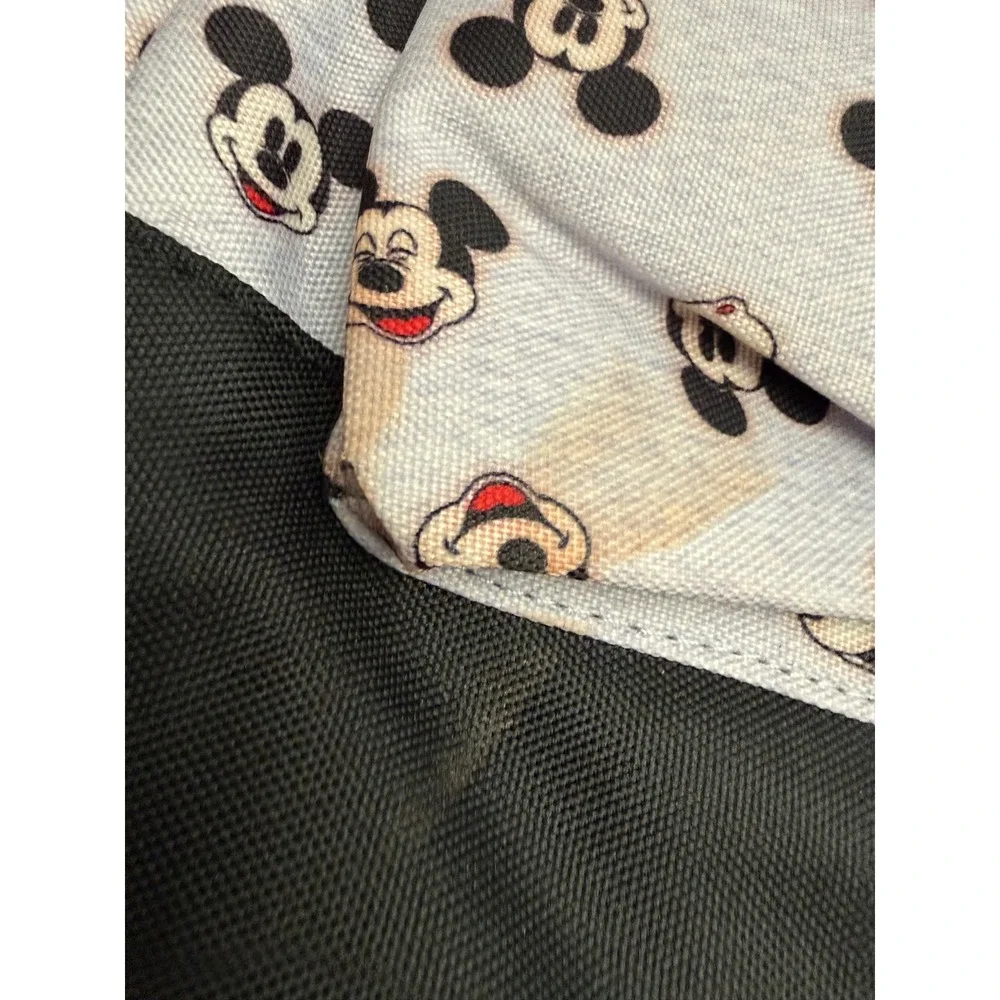 Disney while mouse