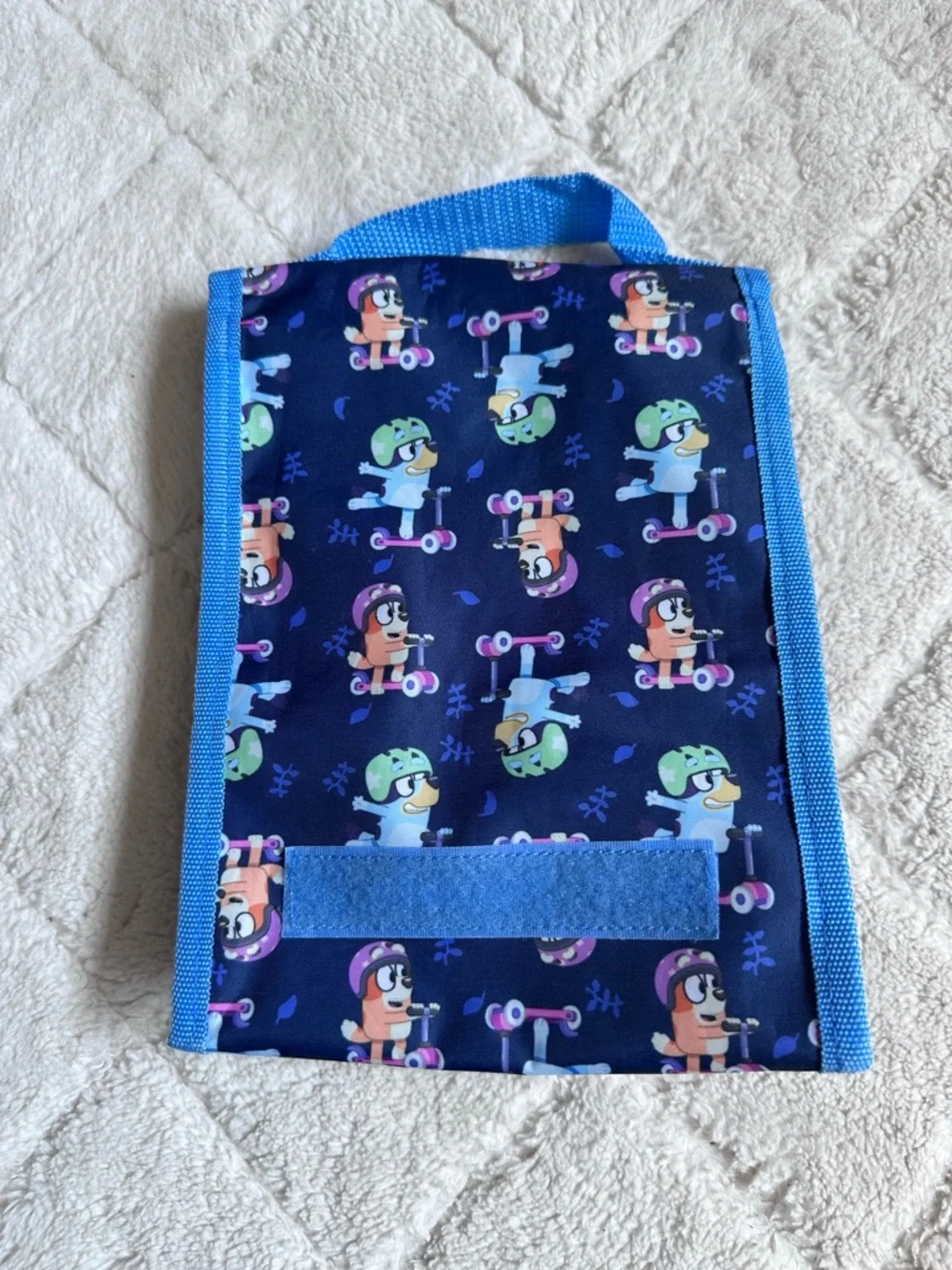 Bluey brand disney