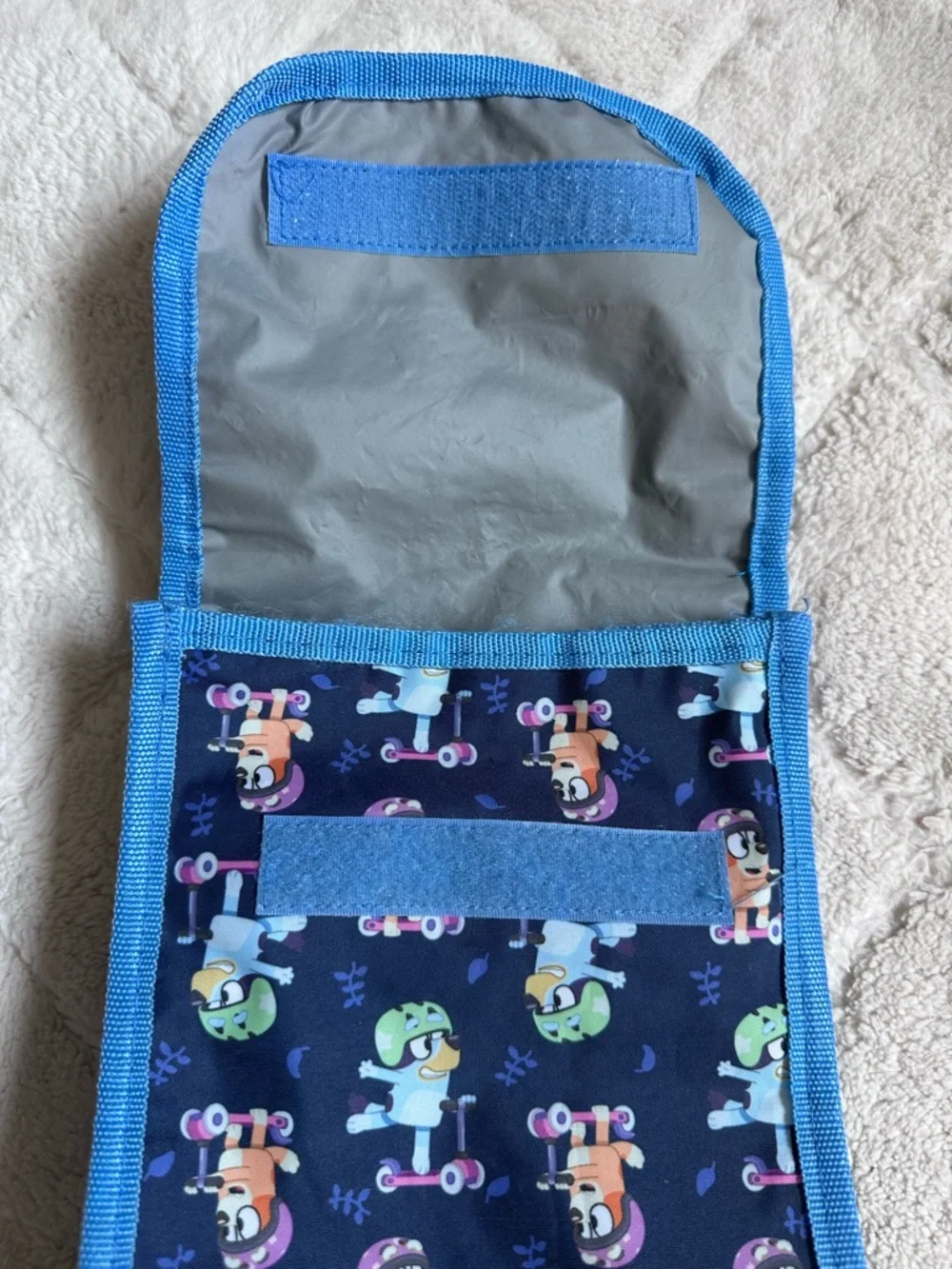 Bluey brand disney
