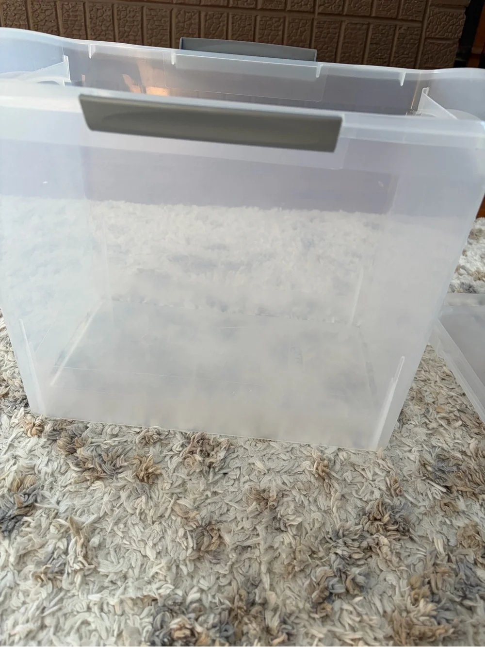 Sterilite Clear Plastic Storage File Container with Gray Lid Handle