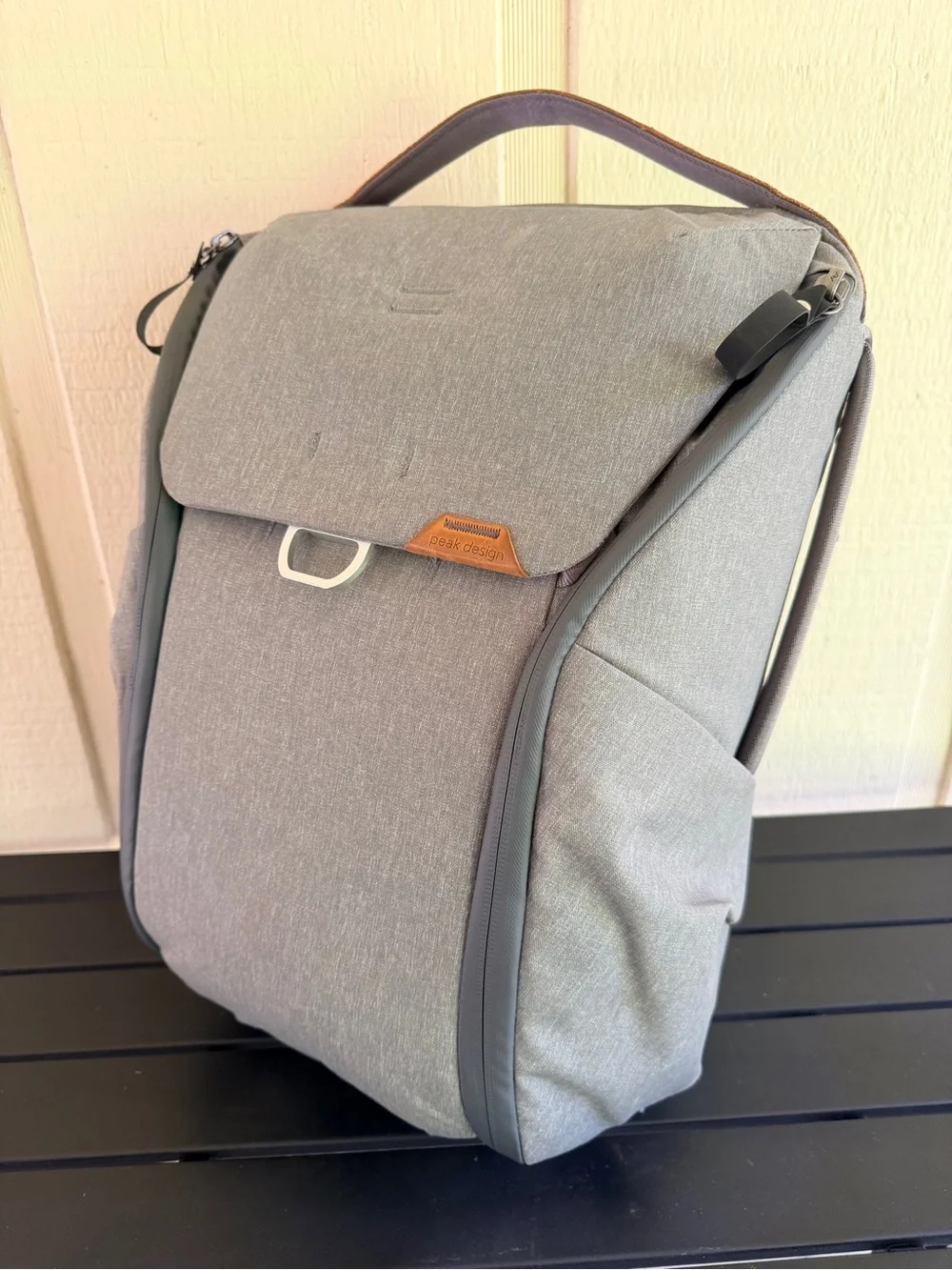 Peak Design Everyday Backpack 20L V2 Ash Camera Bag