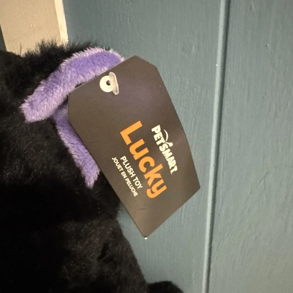 Petsmart 12