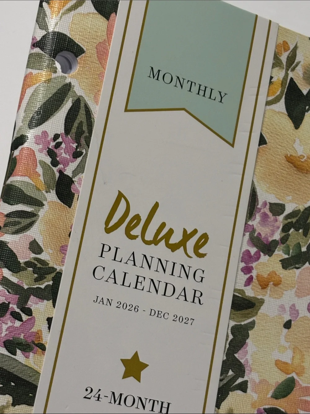 Blue Sky Day Designer 2026-2027 Monthly Deluxe Planner in Marjorie Floral Clear