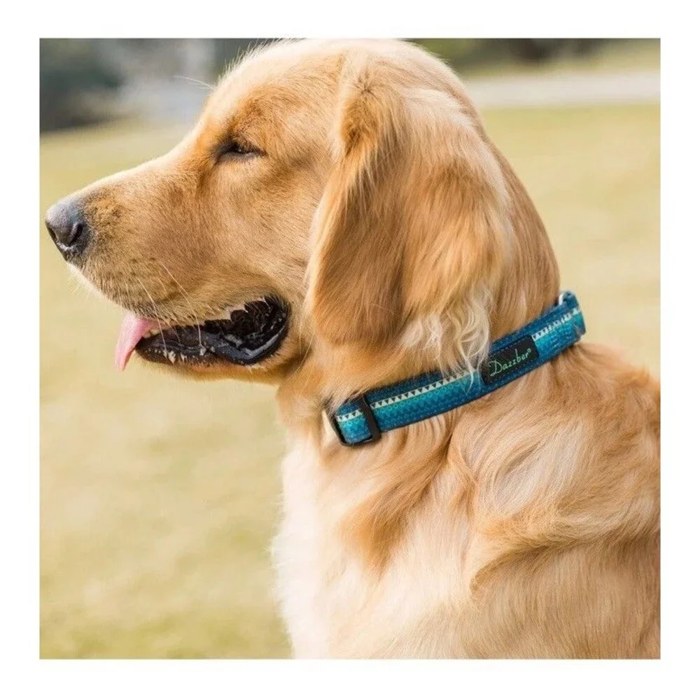 Martingale Dog Collar No Pull Collar Heavy Duty Dog Martingale Collars Silky Sm