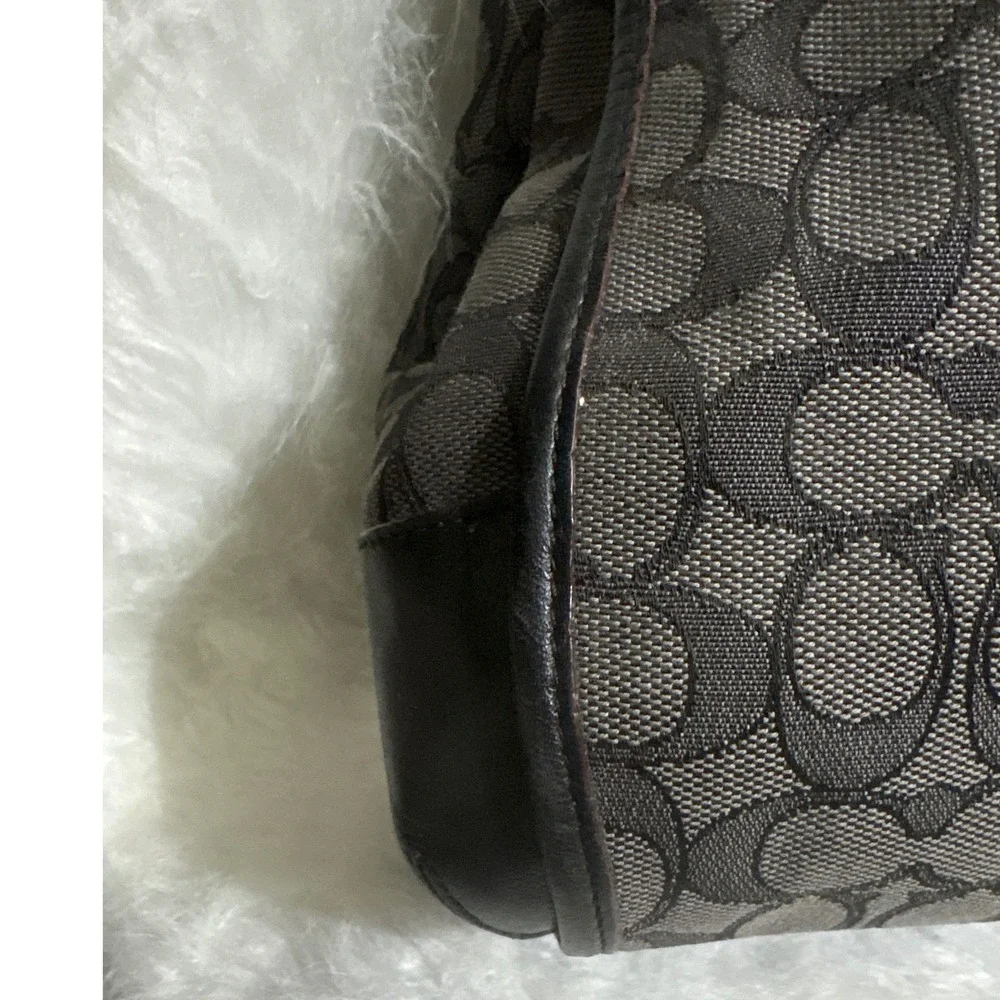 Coach carrying timeless