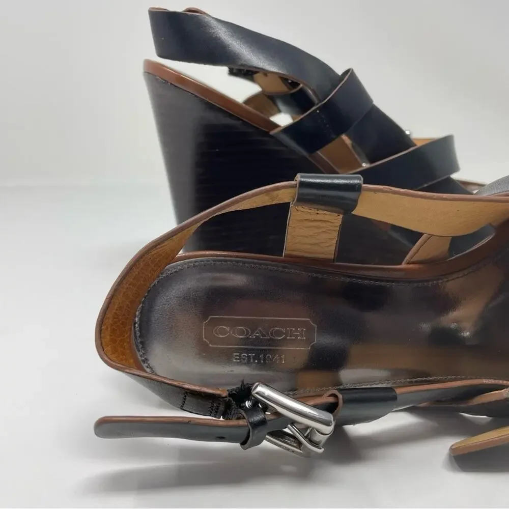 Coach welcome platform pet