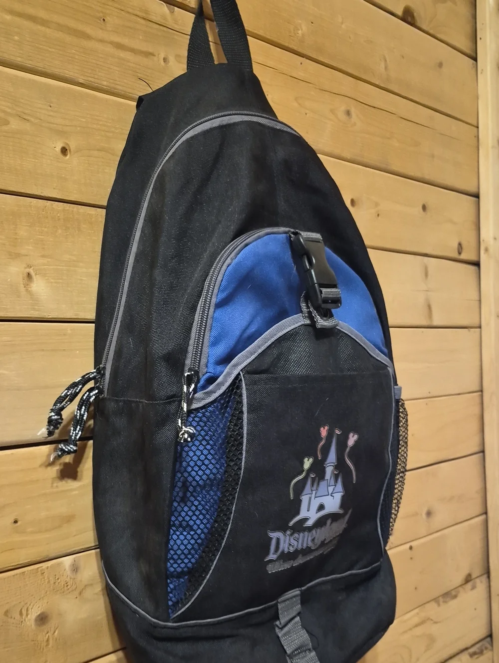 Disney Resort Backpack Where Dreams Come True
