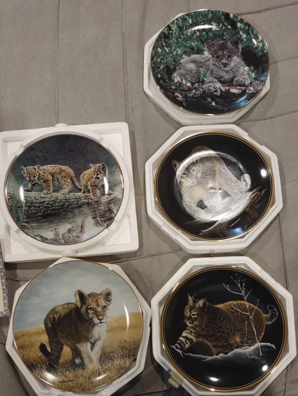 Wildlife Decorative Plates Cat Designs Charles Frace