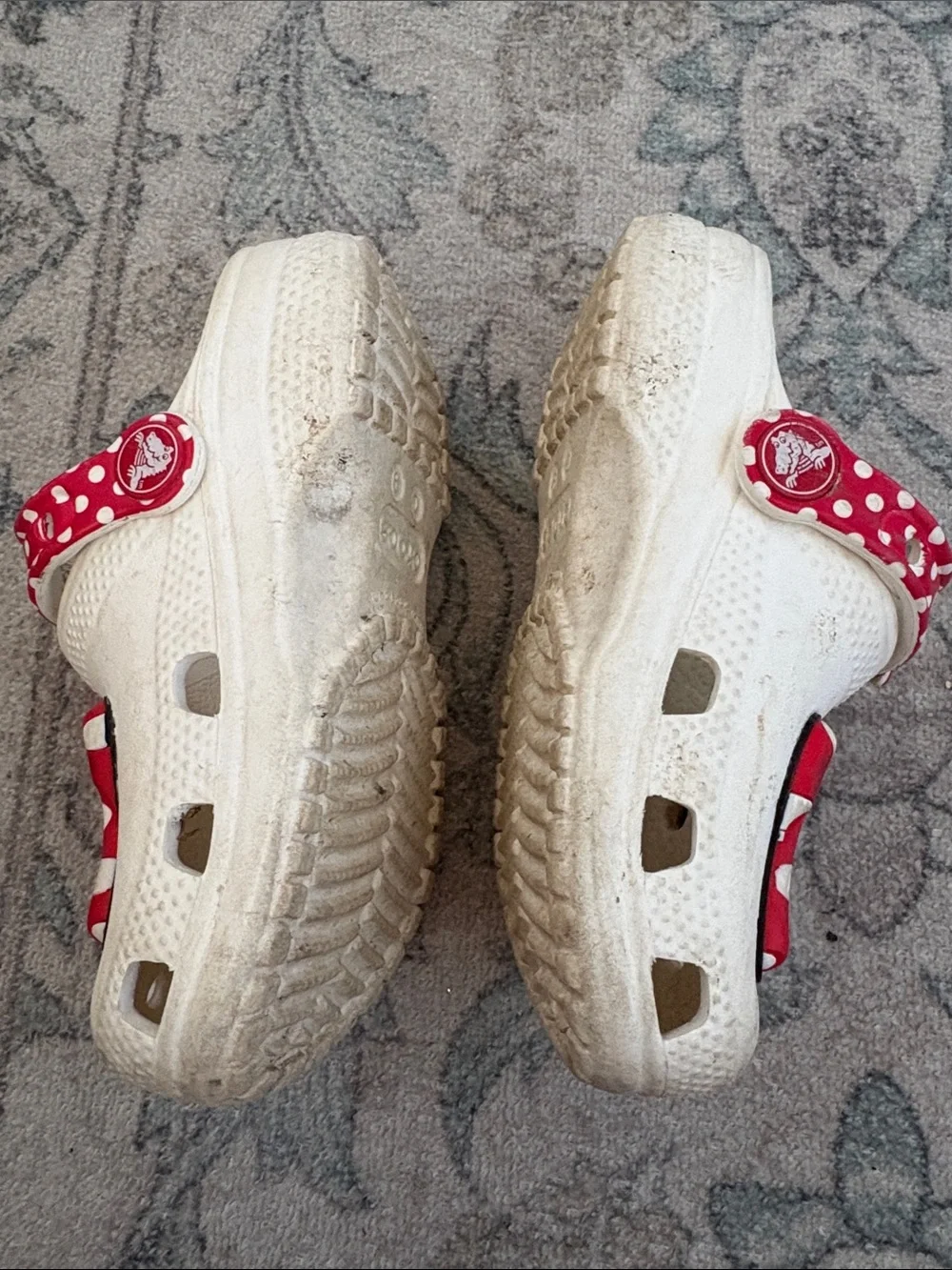 CROCS please see