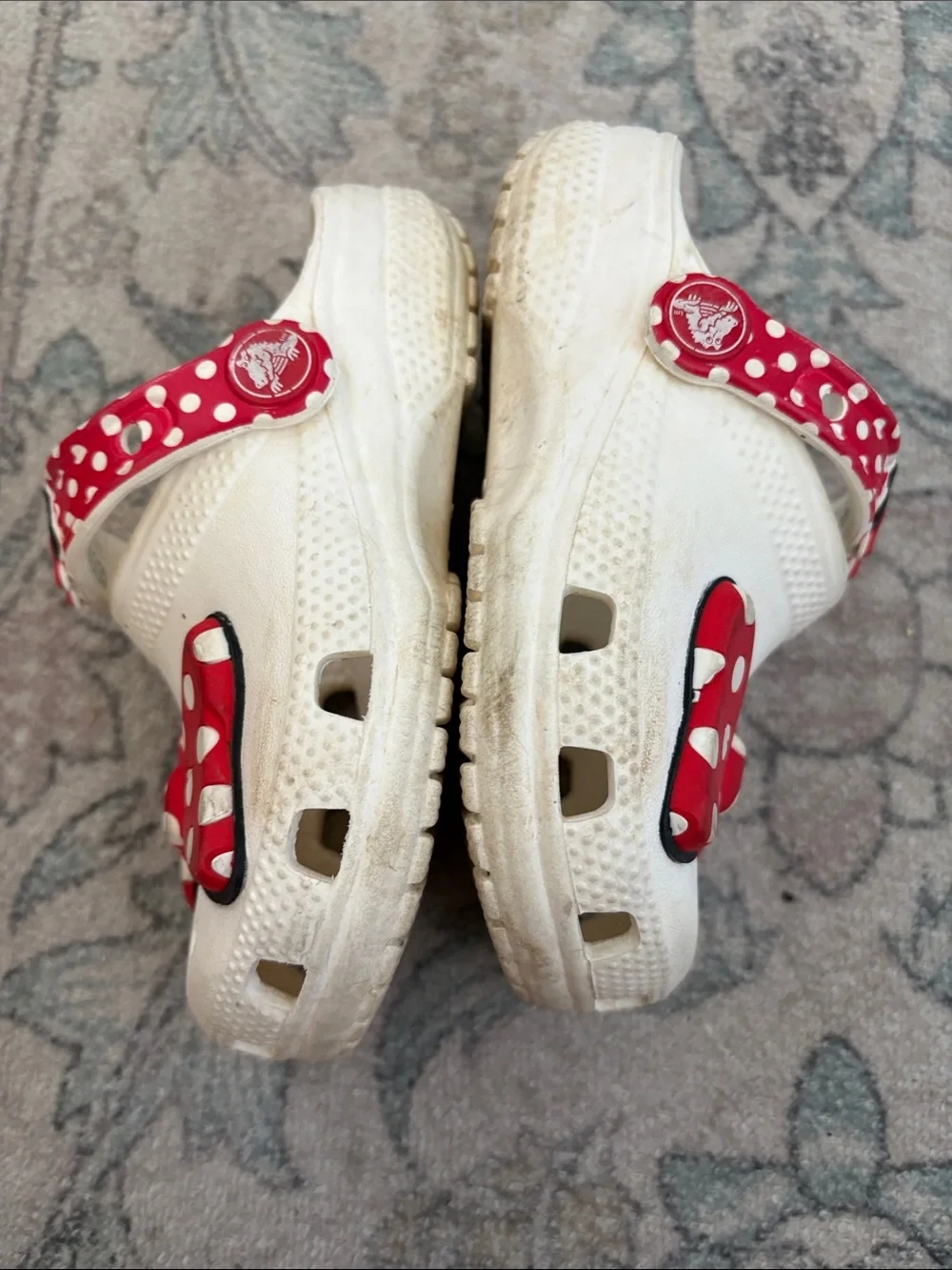 CROCS please see