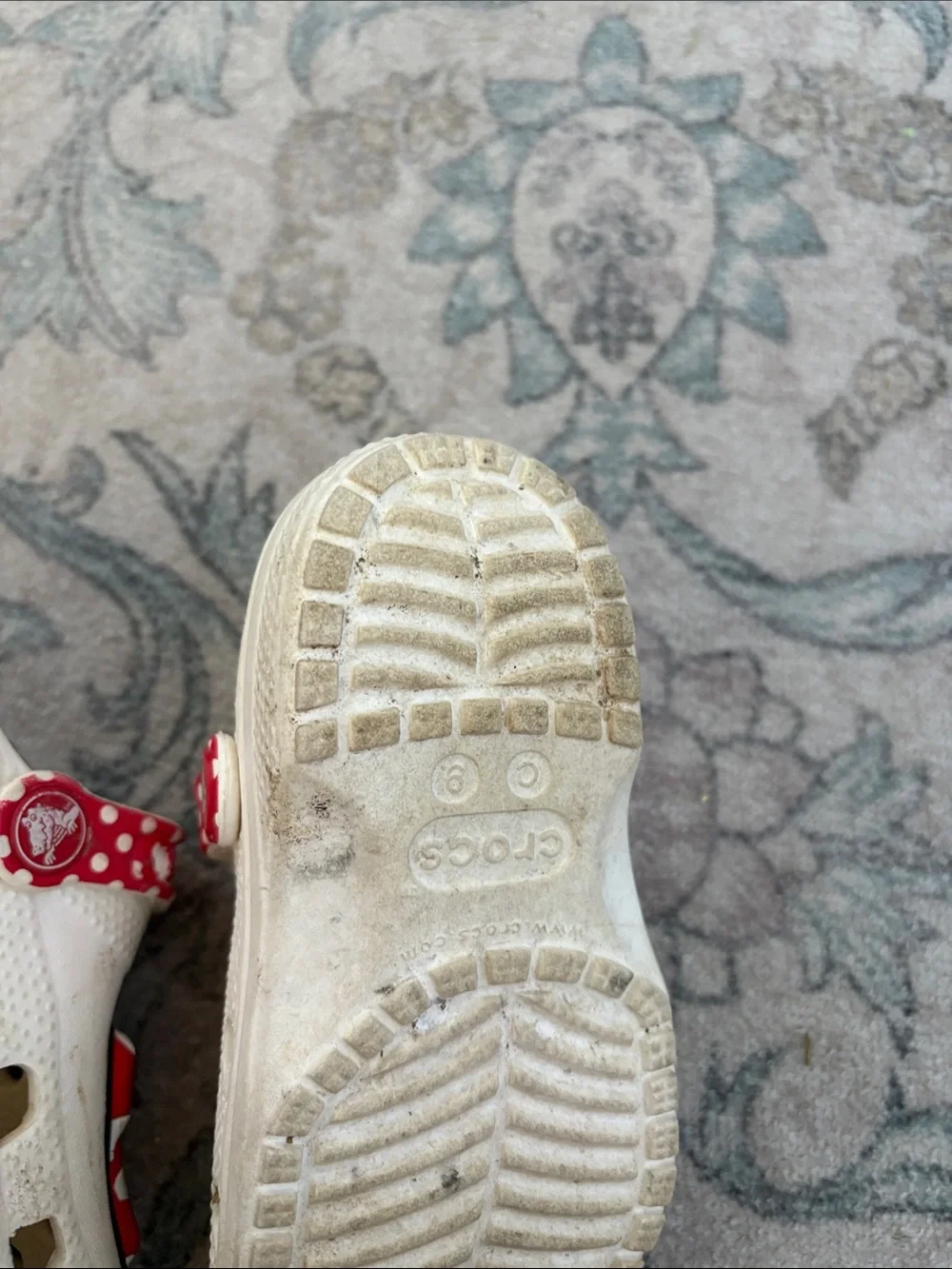 CROCS please see