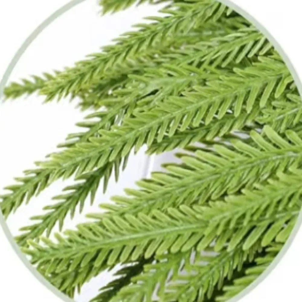 Elegant Green Holiday Wreath with Candle