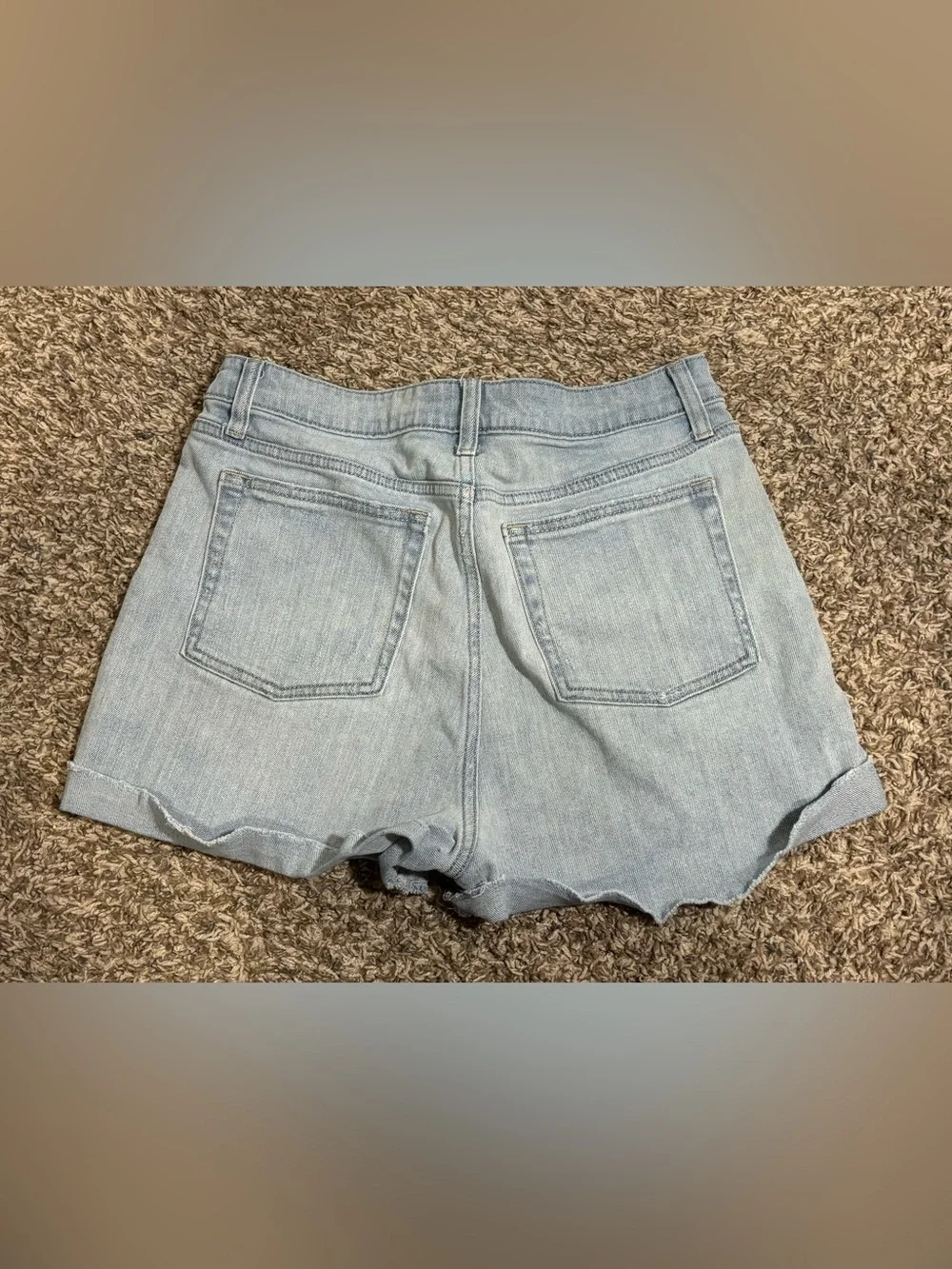 wild fable casual light