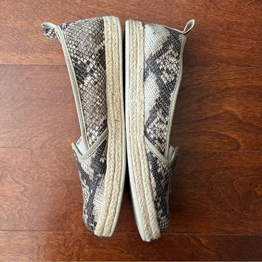 Clarks “azella major”