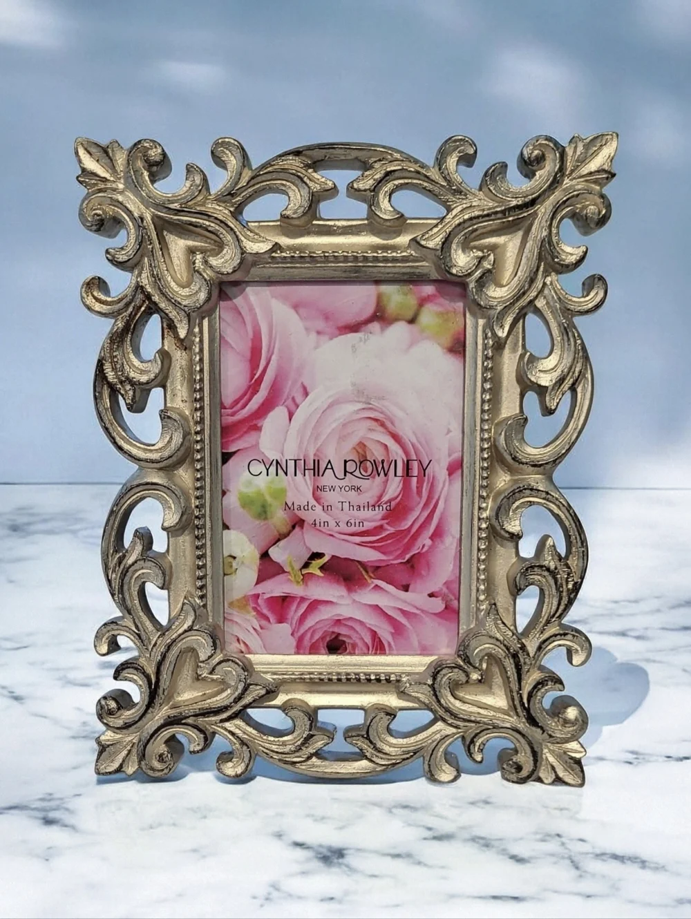 Cynthia Rowley nwt cynthia