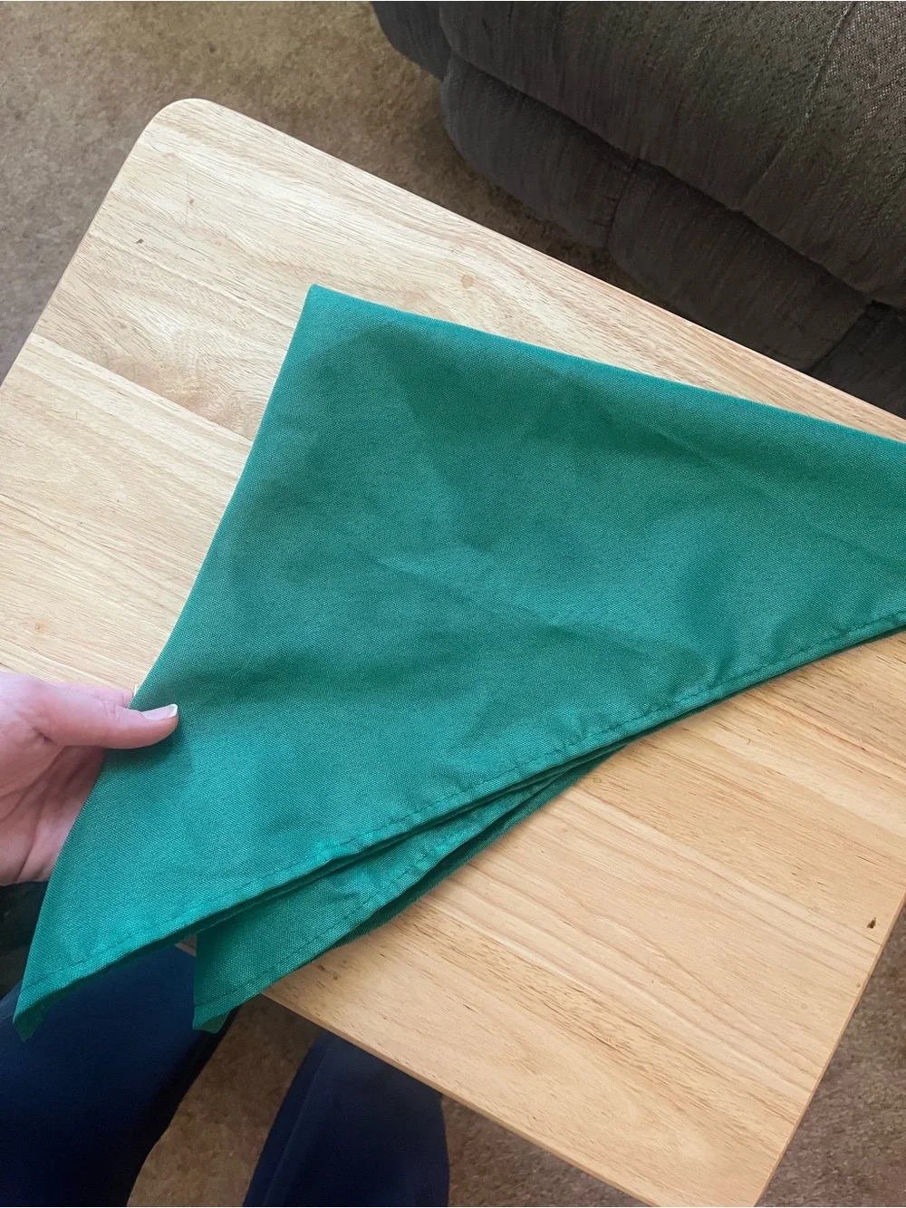 Dark Green Cloth Napkins