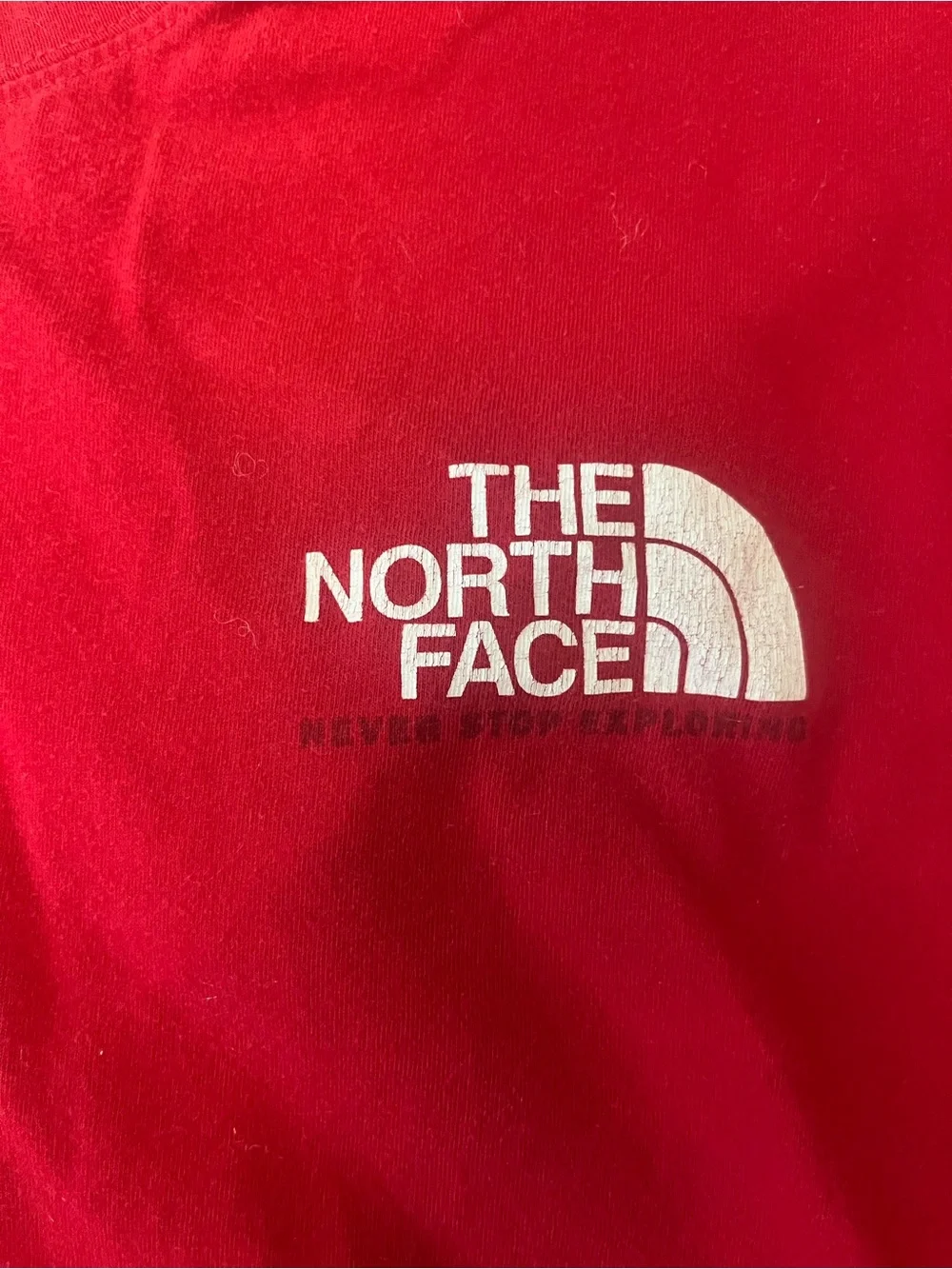 The North Face classic north
