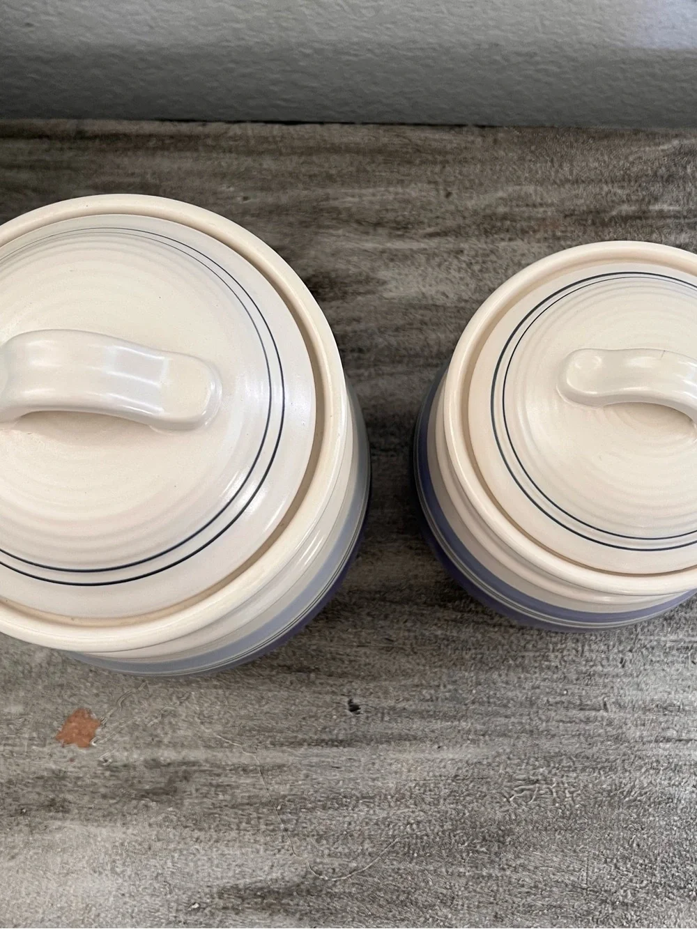 Pfaltzgraff rio canister