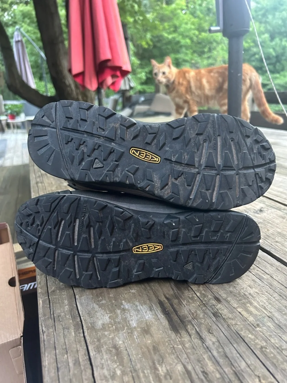 Keen out keep
