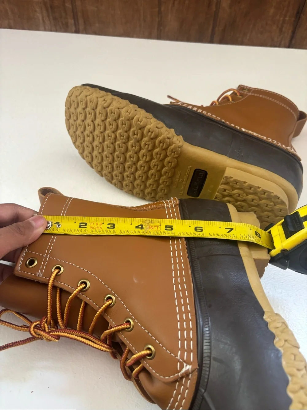 L.L. Bean duck bean