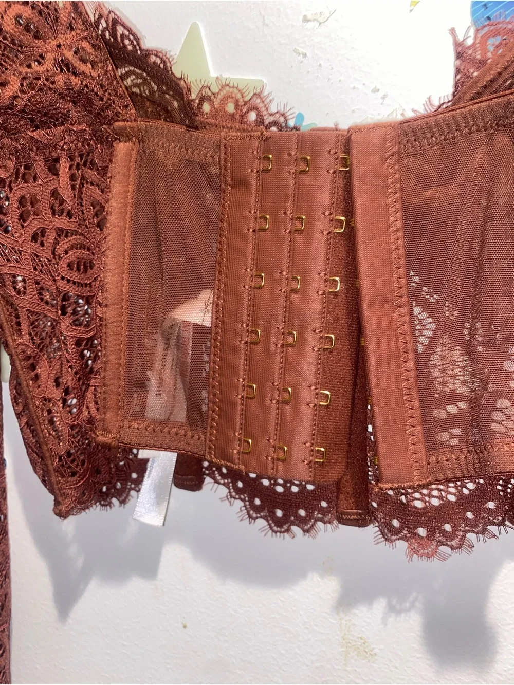 Anthropologie Rust Lace Corset Long Sleeve Crop Top XS Boho Romantic Cottagecore